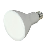 Satco S9698 Light Bulb, Frost Main Image.jpg