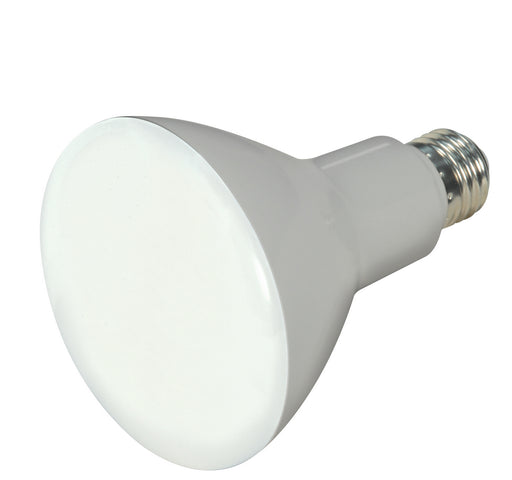 Satco S9698 Light Bulb, Frost Main Image.jpg