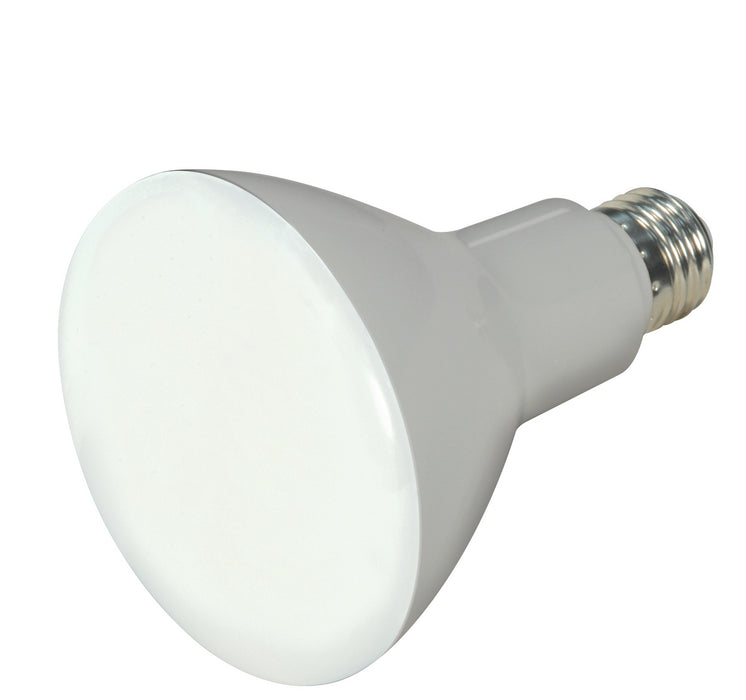 Satco S9698 Light Bulb, Frost Main Image.jpg