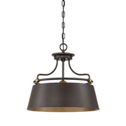 Quoizel FV2818WT Fairview Three Light Pendant, Western Bronze Alternate Image.jpg