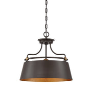 Quoizel FV2818WT Fairview Three Light Pendant, Western Bronze Main Image.jpg