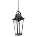 Quoizel GLV1908MB Galveston One Light Outdoor Hanging Lantern, Mottled Black Alternate Image 2.jpg