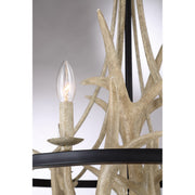 Quoizel JR5006EK Journey Six Light Chandelier, Earth Black Alternate Image 4.jpg