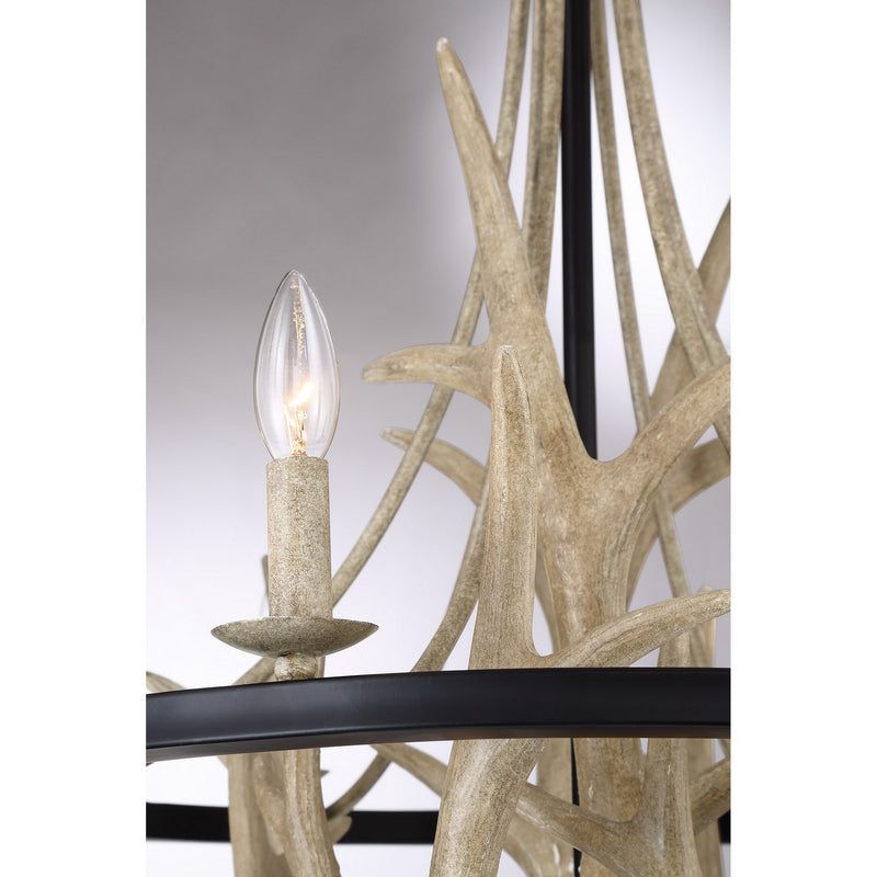 Quoizel JR5006EK Journey Six Light Chandelier, Earth Black Alternate Image 4.jpg
