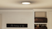 Quoizel OST1708BN Outskirts LED Flush Mount, Brushed Nickel Alternate Image.jpg