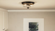 Quoizel QF3414EK Radius Two Light Flush Mount, Earth Black Alternate Image.jpg