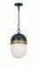 Crystorama CAP-8507-MK-TG Capsule One Light Outdoor Pendant Matte Black / Textured Gold Main Image.jpg