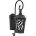 Maxim 55393BZ Whisper Dark Sky LED LED Outdoor Wall Sconce, Bronze Main Image.jpg