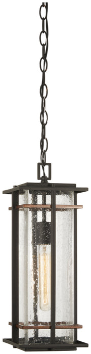 Minka-Lavery 72494-68 San Marcos One Light Outdoor Chain Hung Lantern, Coal W/Antique Copper Accents Main Image.jpg