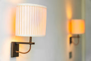 Bulbrite 414025 Decorative: Light Bulb Clear Alternate Image 2.jpg
