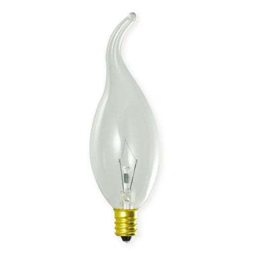 Bulbrite 414025 Decorative: Light Bulb Clear Main Image.jpg