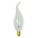 Bulbrite 414025 Decorative: Light Bulb Clear Main Image.jpg