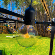 Bulbrite 331040 Globe Light Bulb Clear Alternate Image.jpg