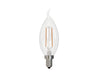 Bulbrite 776858 Filaments: Light Bulb Clear Main Image.jpg