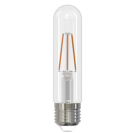 Bulbrite 776853 Filaments: Light Bulb Clear Main Image.jpg