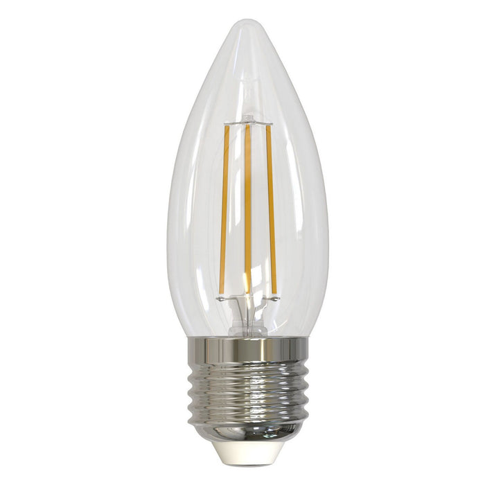 Bulbrite 776862 Filaments: Light Bulb Clear Main Image.jpg