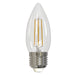 Bulbrite 776862 Filaments: Light Bulb Clear Main Image.jpg