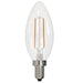 Bulbrite 776859 Filaments: Light Bulb Clear Main Image.jpg