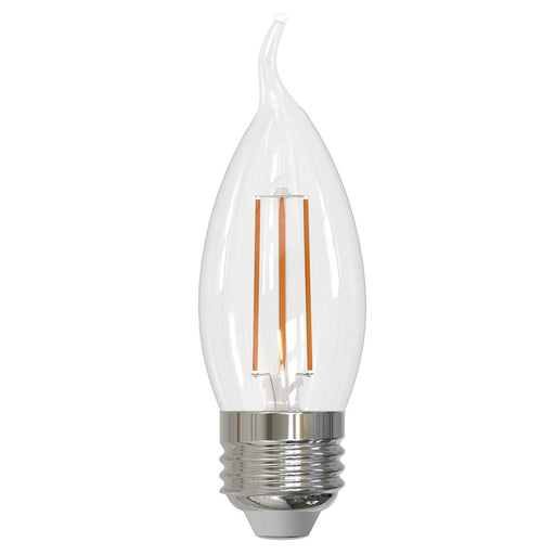 Bulbrite 776875 Filaments: Light Bulb Clear Main Image.jpg