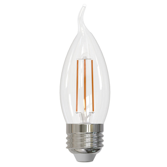 Bulbrite 776875 Filaments: Light Bulb Clear Main Image.jpg
