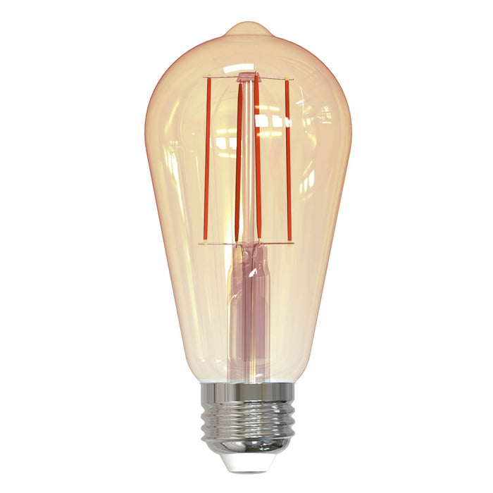 Bulbrite 776801 Filaments: Light Bulb Antique Main Image.jpg