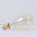 Bulbrite 132510 Nostalgic Light Bulb Antique Alternate Image.jpg