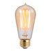 Bulbrite 134019 Nostalgic Light Bulb Antique Alternate Image.jpg