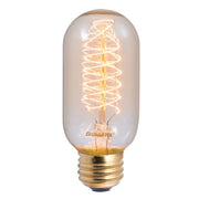 Bulbrite 134014 Nostalgic Light Bulb Antique Main Image.jpg