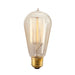Bulbrite 136019 Nostalgic Light Bulb Antique Main Image.jpg