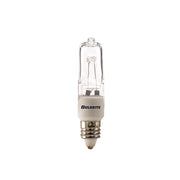 Bulbrite 610101 Single Light Bulb Clear Main Image.jpg