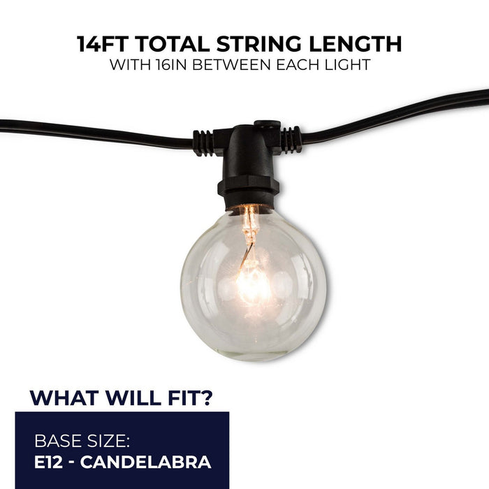 Alternate Image 6.jpg