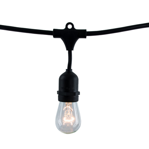 Bulbrite 810006 String String Light Black Main Image.jpg