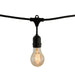 Bulbrite 810004 String String Light Black Main Image.jpg