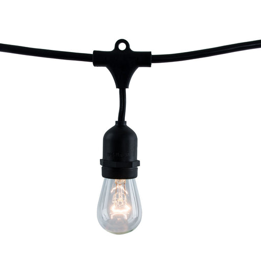 Bulbrite 810002 String String Light Black Main Image.jpg