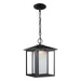 Generation Lighting 6902997S-12 Hunnington LED Outdoor Pendant, Black Main Image.jpg