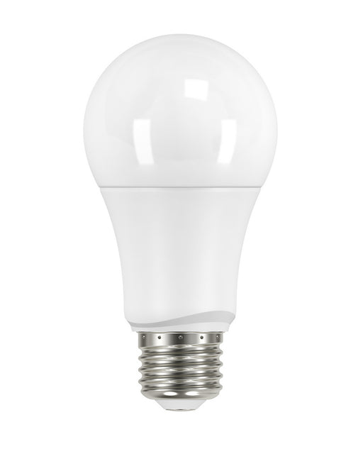 Satco S29558 Light Bulb, Frost Main Image.jpg