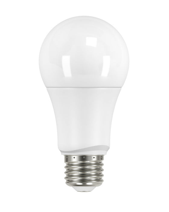 Satco S29589 Light Bulb, Frost Main Image.jpg