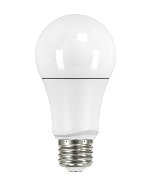 Satco S29629 Light Bulb, Frost Main Image.jpg