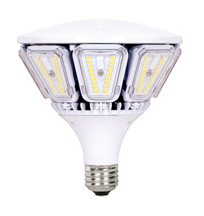 Satco S9779 Light Bulb, Clear Main Image.jpg