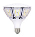 Satco S9779 Light Bulb, Clear Main Image.jpg