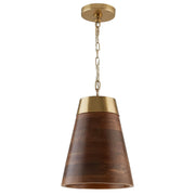 Capital Lighting 330314WR Dodd One Light Pendant, Dark Wood and True Brass Main Image.jpg