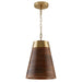 Capital Lighting 330314WR Dodd One Light Pendant, Dark Wood and True Brass Main Image.jpg