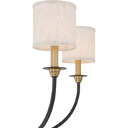 Quoizel ADY5005OZ Audley Five Light Chandelier, Old Bronze Alternate Image 4.jpg