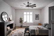 Kichler 300265AVI 65"Ceiling Fan, Anvil Iron (2)