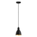 Eglo USA 203443A Priddy 2 One Light Pendant Black/Gold Main Image.jpg