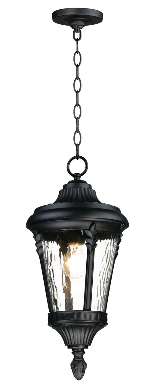 Maxim 3058WGBK Sentry One Light Outdoor Hanging Lantern, Black Main Image.jpg