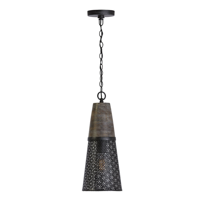 Capital Lighting 333911BH-692 Coker One Light Pendant, Barn House Main Image.jpg