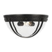 Visual Comfort Studio TF1002AI Logan Two Light Flush Mount, Aged Iron Main Image.jpg