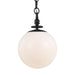 Visual Comfort Studio TP1031AI Capri One Light Pendant, Aged Iron Alternate Image.jpg