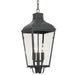 Crystorama DUM-9805-GE Dumont Three Light Outdoor Chandelier Graphite Main Image.jpg